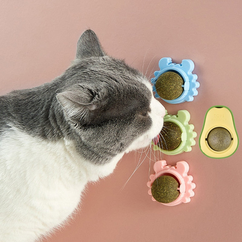 Toys Licking Balls Healthy Snack Rotatable Treats Toys Kitten/Cat Playing Toy